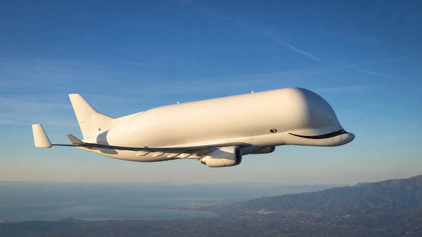 Beluga avion : caractéristiques, flotte et missions Airbus